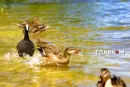 Україну накриє спека до +40°: синоптикиня назвала дату похолодання