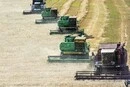 Росія втратила понад третину експорту зерна за липень