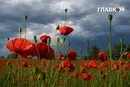 У Києві та області оголошено штормове попередження
