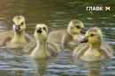 Спека до 38° в Україні не відступає: погода на 5 серпня 2026 року