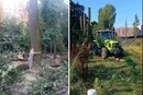 У Києві спалахнув конфлікт через вирубку дерев на Теремках: що кажуть жителі, влада та поліція