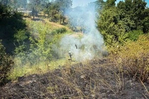 Киян закликають бути максимально обачними під час відпочинку на природі