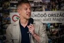 Петер Мадяр назвав винуватців енергетичної кризи в Угорщині