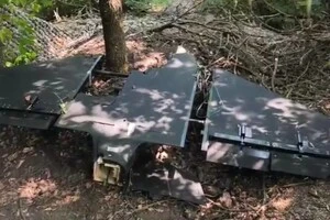 В Україні зафіксовано нову версію «Гербери»