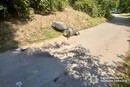 Смертельна аварія на Білоцерківщині: водій моторолера загинув після падіння  