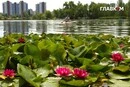 Спека у Києві за один день побила три температурні рекорди