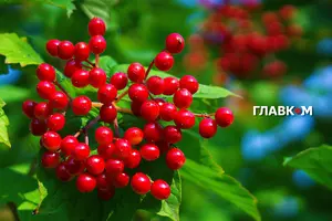 На півдні та південному сході температура повертається до 28–33°