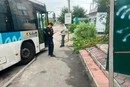 У Сквирі рейсовий автобус збив жінку на зупинці 
