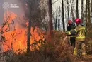 Українські рятувальники у Франції зупинили пожежу, що загрожувала населеному пункту