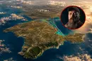 Бровді пояснив, навіщо Сили оборони знеструмлюють Крим