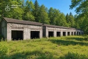 Самочинно зведені будівлі по вул. Радосинській в Деснянському районі міста Києва