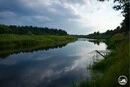 У Чорнобильській зоні виявлено рідкісні види риб, занесені до Червоної книги
