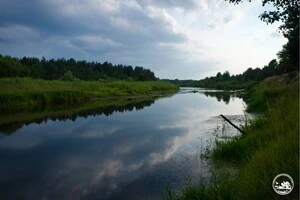 Фахівці обстежили акваторії річок Прип’ять, Уж, Ілля, а також канали місцевої осушувальної системи