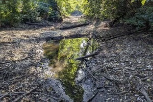 Такий вигляд має зараз  русло річки Буча між Ірпенем і Гостомелем