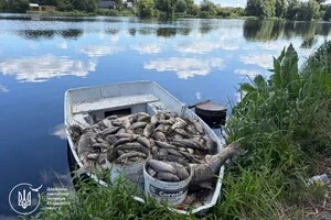 У водоймах Борщагівської громади збирають мертву рибуі