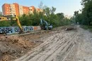 Понад 600 дерев можна зберегти: експерт запропонував альтернативу нищенню лісу на Теремках