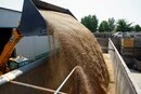 Українським аграріям стало нікуди дівати новий урожай – Reuters