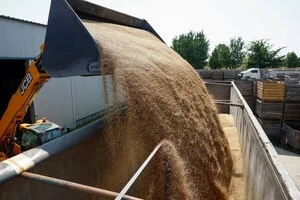 Експорт українського зерна обвалився на 75% через атаки РФ
