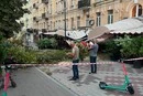 На терасу відомого ресторану в центрі Києва впав каштан (фото)