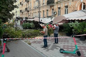Унаслідок падіння дерева ресторан залишився без навісу на терасі