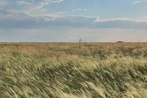 Для виставки зібрали архівні аудіозаписи степу - вітру, птахів, комах, ссавців та інших, а також робили нові