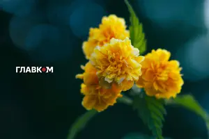 16 серпня в Україні сонячно й без опадів