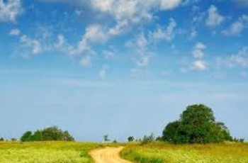 Тектонический задвиг