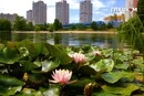 Пляжний сезон у Києві. Де купатися безпечно (список)