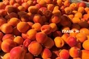 Де у Києві проходитимуть продуктові ярмарки 18-23 серпня (адреси)