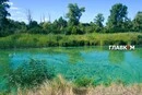 Чому Дніпро знову став зеленим і чим це загрожує: пояснення біолога