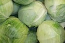В Україні стрімко дорожчає білокачанна капуста