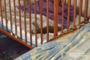 У Херсоні снаряд влетів у ліжечко з дворічним хлопчиком, але не вибухнув (фото)