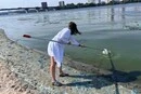«Цвітіння» Дніпра: столичні фахівці відібрали проби води та пояснили причини явища