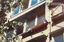 У Києві жінка викинула собаку з четвертого поверху, тварина загинула