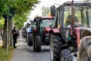 Пільги для України викликали невдоволення у фермерів Молдови