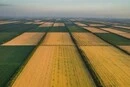 Як власникам паїв захистити свої права та розірвати договір: інструкція 