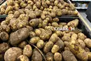 Експертка порадила зробити запаси найпопулярнішого овоча в Україні, але почекати до жовтня