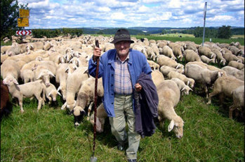 Итог недели: Об Украине и пастухе