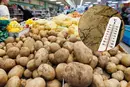 Дешевого картофеля не будет: эксперт рассказала, каких цен следует ожидать