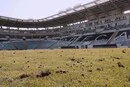 «Чорноморець» отримав вердикт щодо матчів в Одесі після ворожої атаки на стадіон