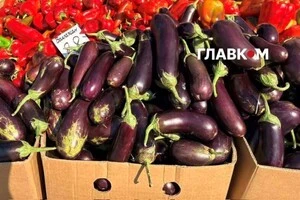 Організатори закликають відвідувачів дбати про власну безпеку та слідувати в укриття під час оголошення повітряної тривоги