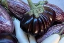 У Києві на вихідних 29-30 серпня відбудуться продовольчі ярмарки (адреси)
