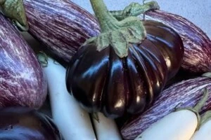 На ярмарках можна закупитися свіжими овочами, фруктами та м'ясом за помірними цінами