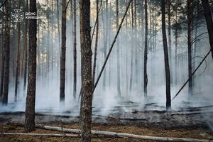 Роботи з ліквідації пожежі тривають