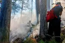 В окупованій Ялті шостий день триває масштабна лісова пожежа