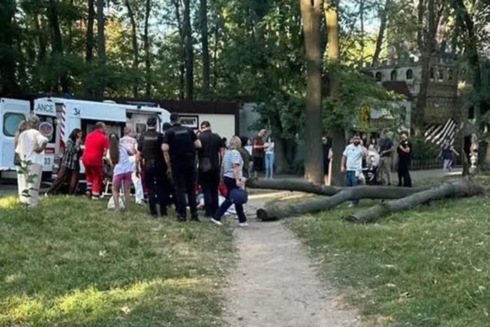 На жінку впало дерево у Центральному парку Вінниці