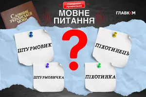 Васильєва зауважила, що «штурмовичка» поки не увійшла до словника, однак активно вживається сучасними письменниками