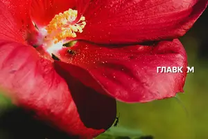 В Україні невелика хмарність