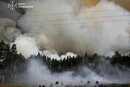На Київщині досі палає ліс: до гасіння масштабної пожежі залучили авіацію ДСНС