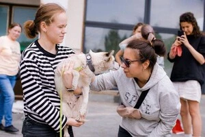 Відвідувачі фестивалю зможуть познайомитися з тваринами і подарувати одній із них новий дім